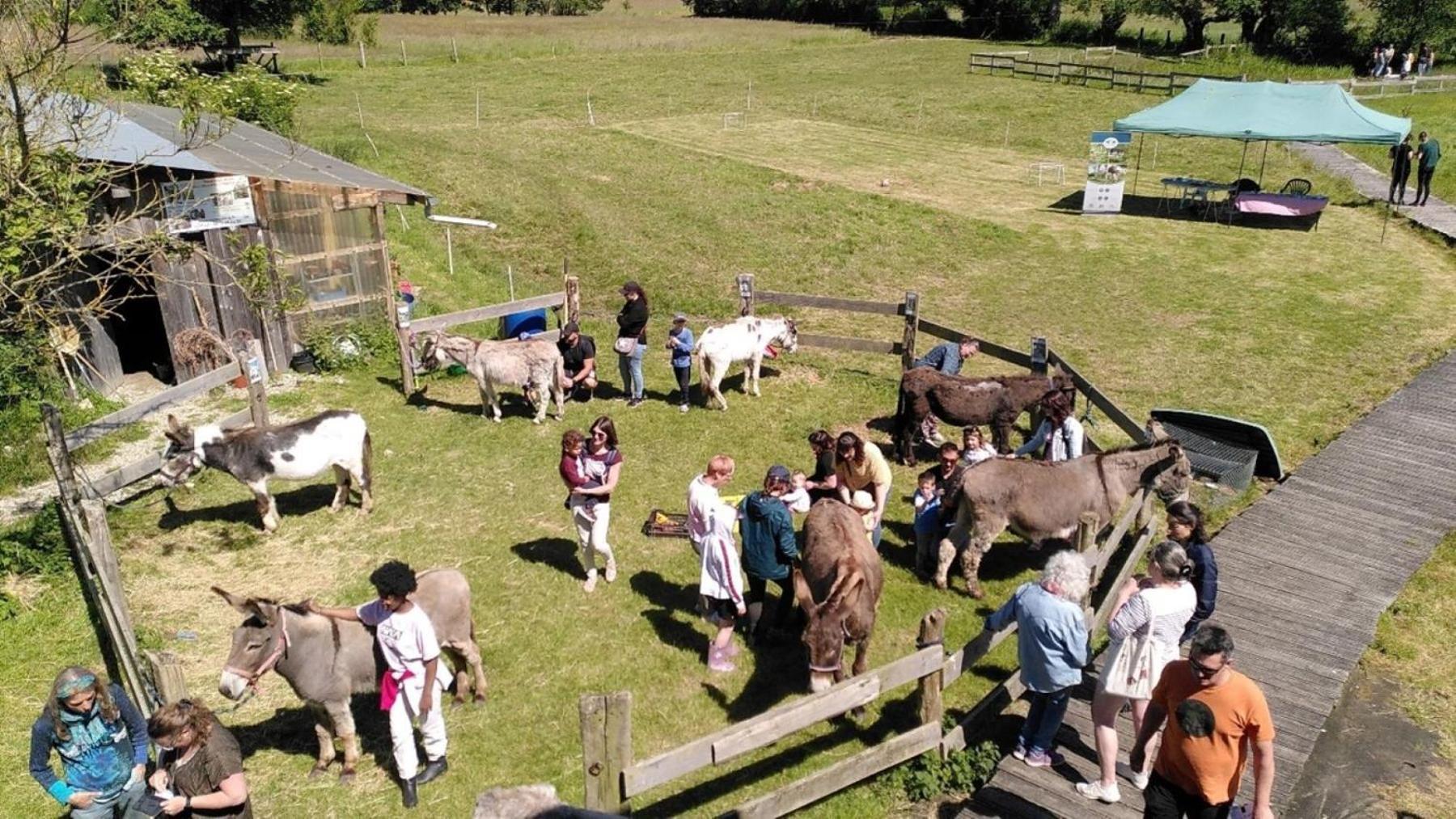 Chambres D'Hotes Du Coq A L'Ane Beaubec-la-Rosiere Kültér fotó